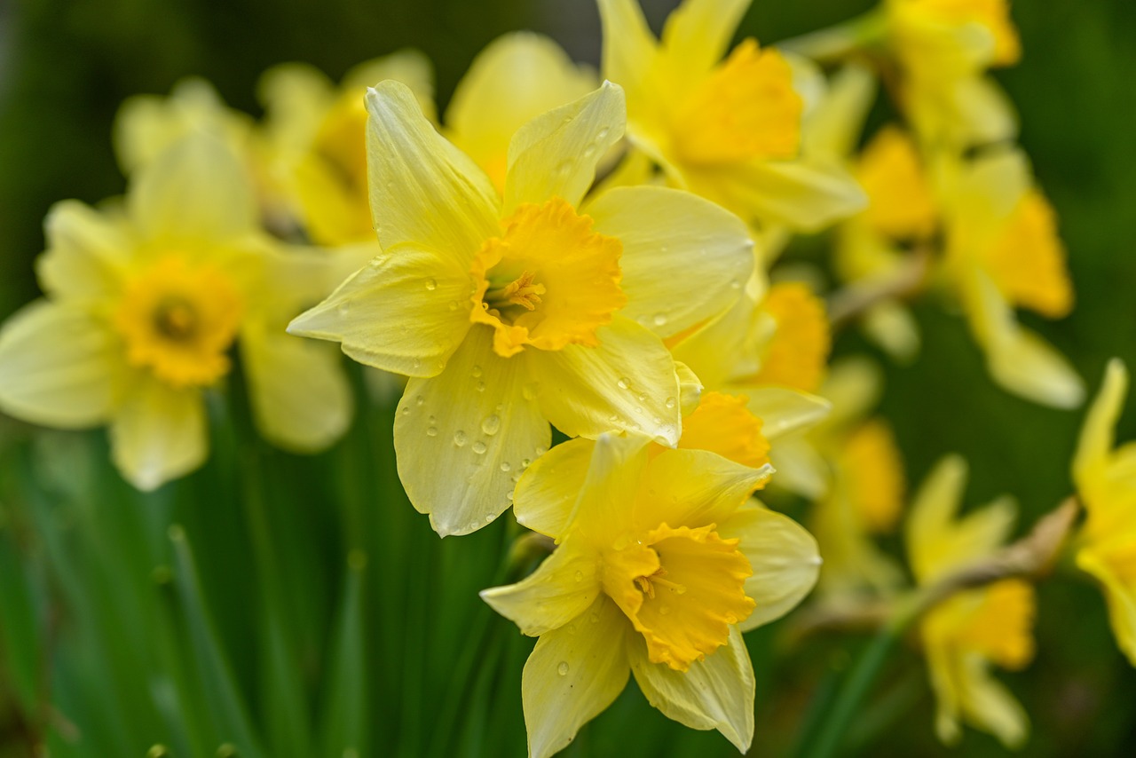 Patience! Le printemps arrive...